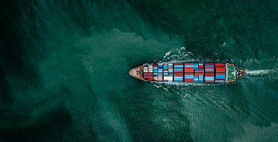 Customised Logistics Support